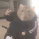 avatar [( 𝚎𝚕𝚂𝚒𝚎𝚛𝚔𝚊𝚜 )]