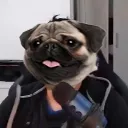 bizcoo