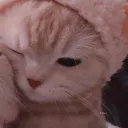 notwhila