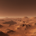 avatar TheFitCabbage