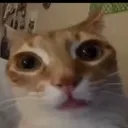 josvicg