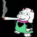 honest_raccoon_75421