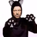 gatos7777