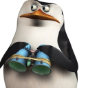 dingaling0581's Avatar