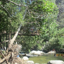 avatar Felix (read bio)