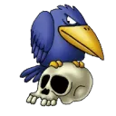 raven056243