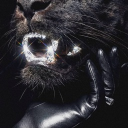 avatar 𝙼𝚘𝚗𝚎𝚢