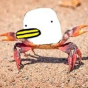 user_y2mwxzupsn0xkojk member profile picture
