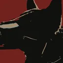 rotten.dogs