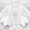 anjelireal