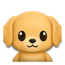 pupu.8888