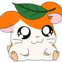 ham_uwu