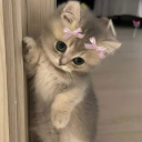 avatar babydoll (◕ᴗ◕✿)✧/～♡•