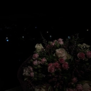 avatar 𝐬𝐢𝐞𝐧𝐧𝐚 ꨄ