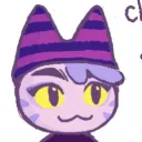 catcatcatcatcatcatcatcatcat