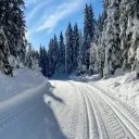 evron_99