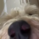psunxk