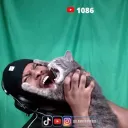 kxngcactuss