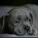 tvnight_94269 avatar