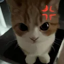 patzzz109