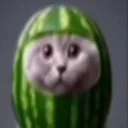 Аватар qwert05332