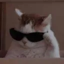 nikitoslol