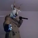 00pt