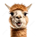 aletzkhremento_18026 avatar