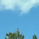 cluelesstheone avatar