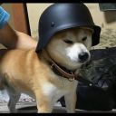 Avatar de douusito