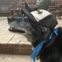 keeweiner avatar