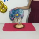 longdayj