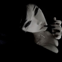 avatar 𝐾 𝑌 𝑆 𝐴 !