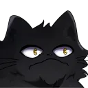 mistersleepycat