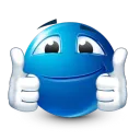 17bitbug