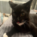 avatar noxy_was_here