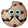 cdinprov