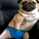 avatar shavkat rakhmonov