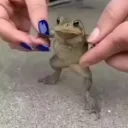 quapoow