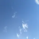gibcf_