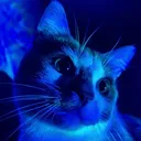 itscoolblu