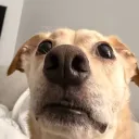 filteredwaters avatar