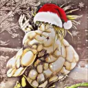 noah073702