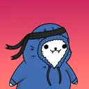 kidcat071
