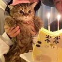 Аватар игрока sonniy.me