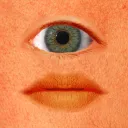 liamvz