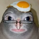 avatar Timo