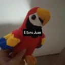 maurorisas
