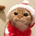 avatar ＰＨＯＥＮＩＸ