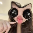 starg.chii